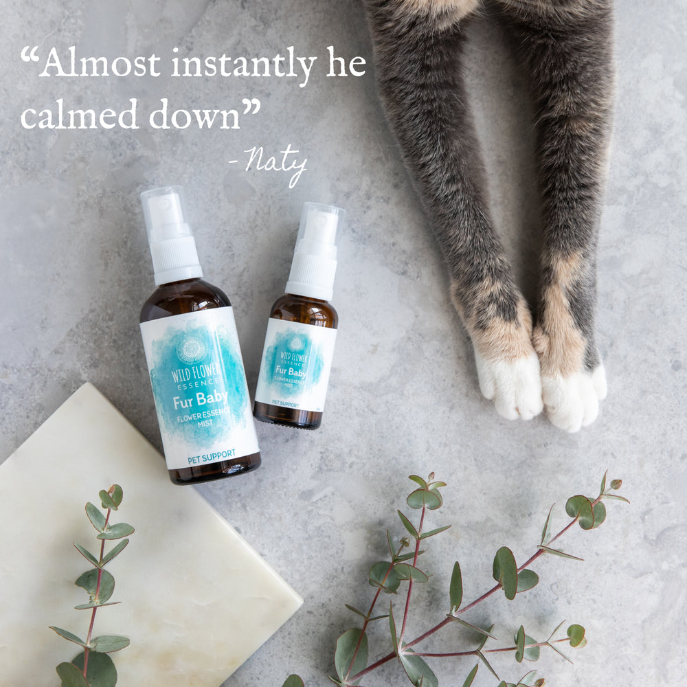Naughty Naturopath Mum - Fur Baby Mist