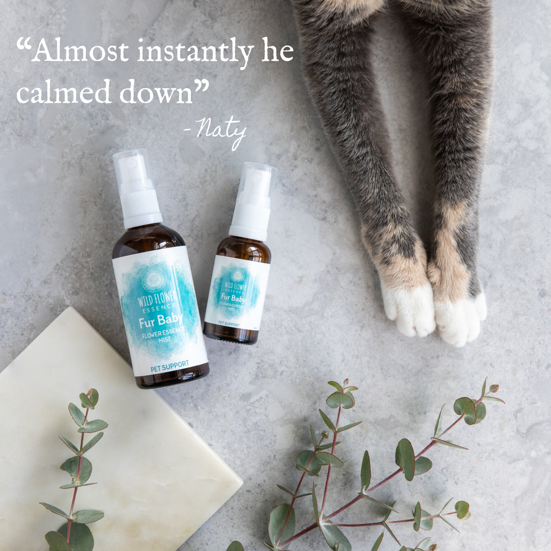 Naughty Naturopath Mum - Fur Baby Mist
