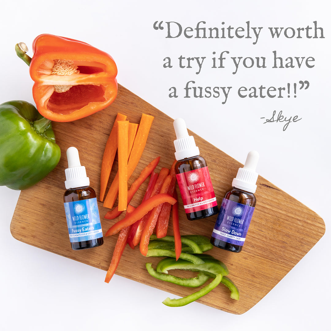 Naughty Naturopath Mum - Fussy Eater Blend Pack