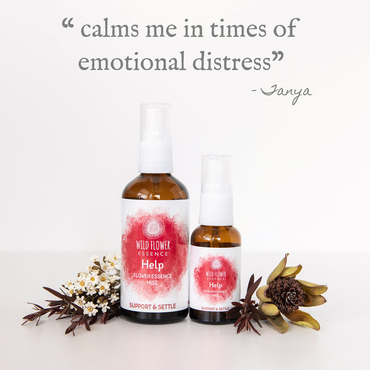 Naughty Naturopath Mum - Help Mist