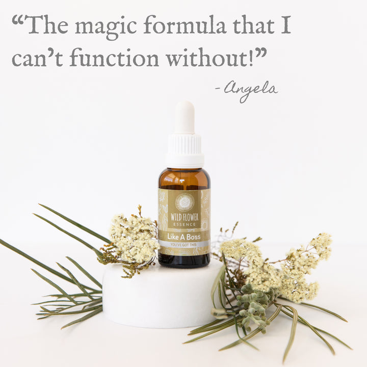 Naughty Naturopath Mum - Like A Boss Wild Flower Essence
