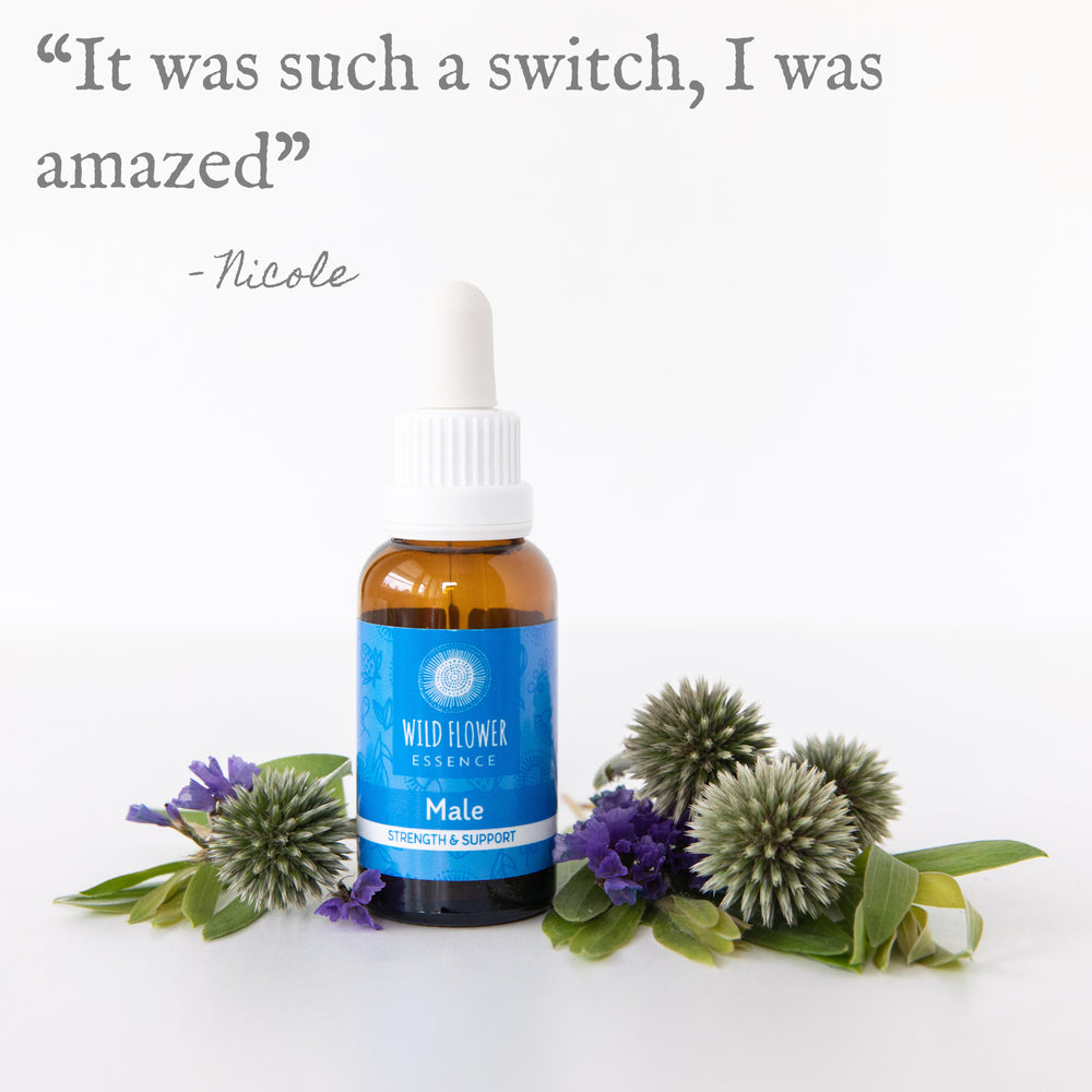 Naughty Naturopath Mum - Male Wild Flower Essence