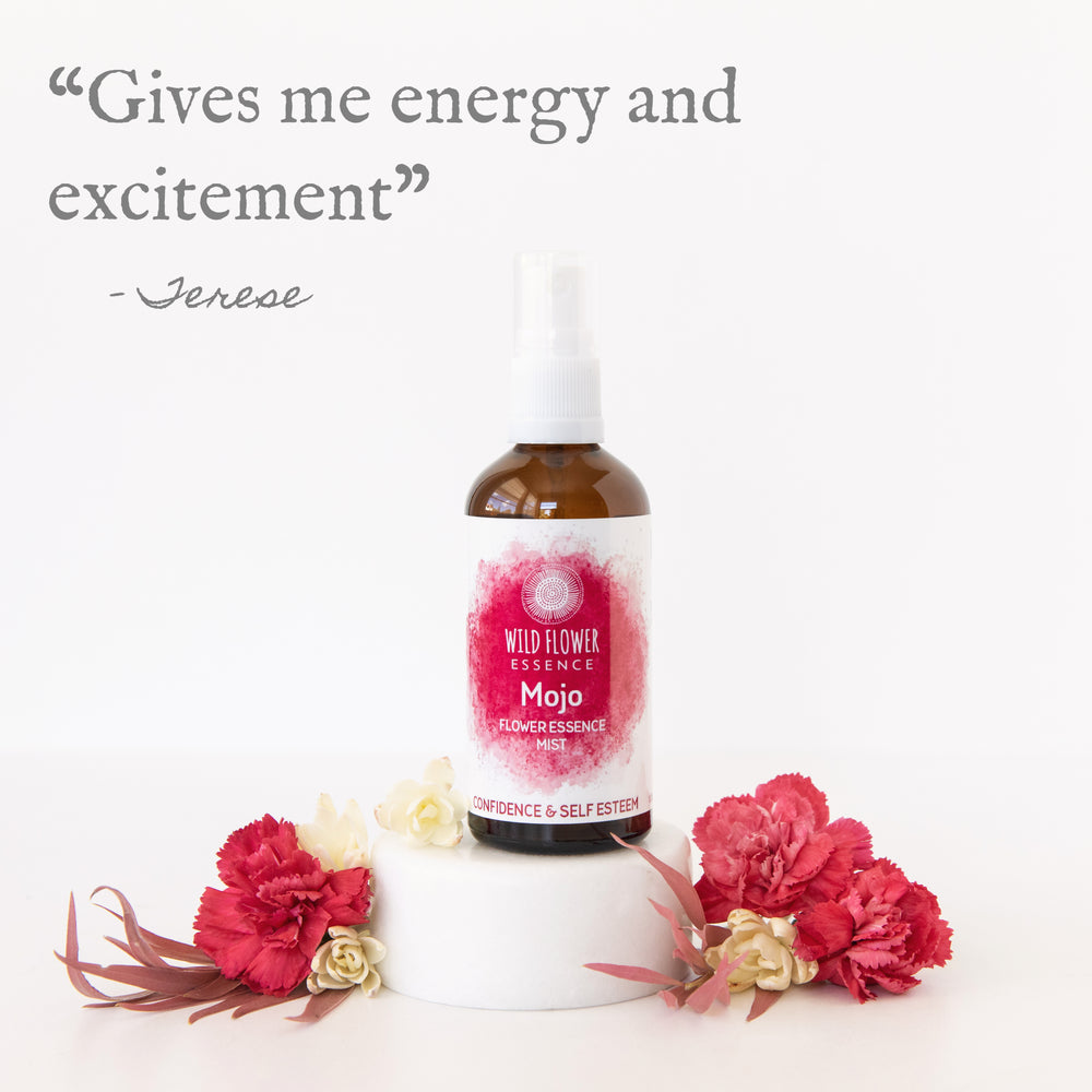 Naughty Naturopath Mum - Mojo Mist