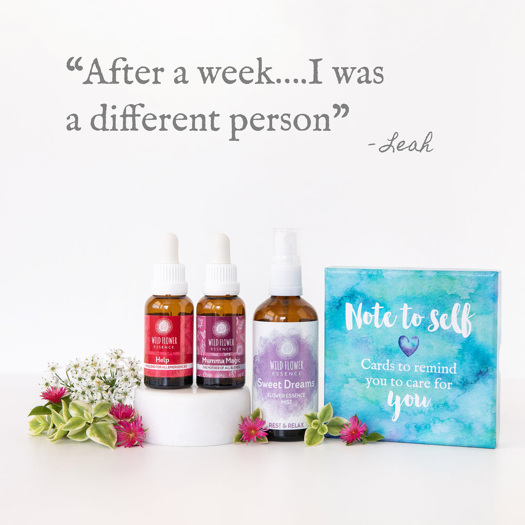 Naughty Naturopath Mum - New Mum Pack