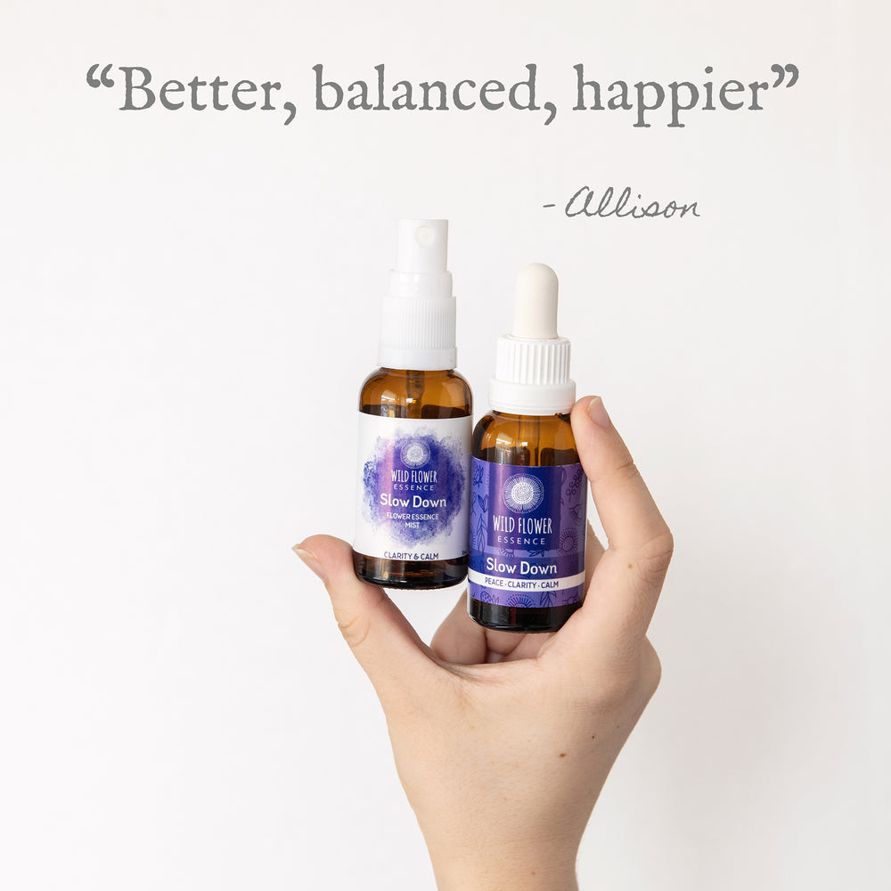 Slow Down Duo Pack blend and mist