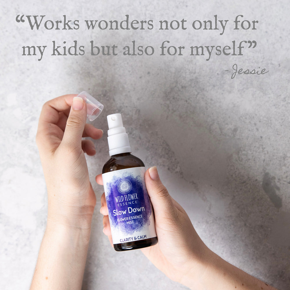 Naughty Naturopath Mum - Slow Down Mist