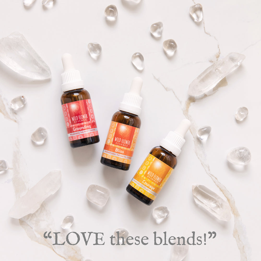 Naughty Naturopath Mum - Strength Chakra Pack