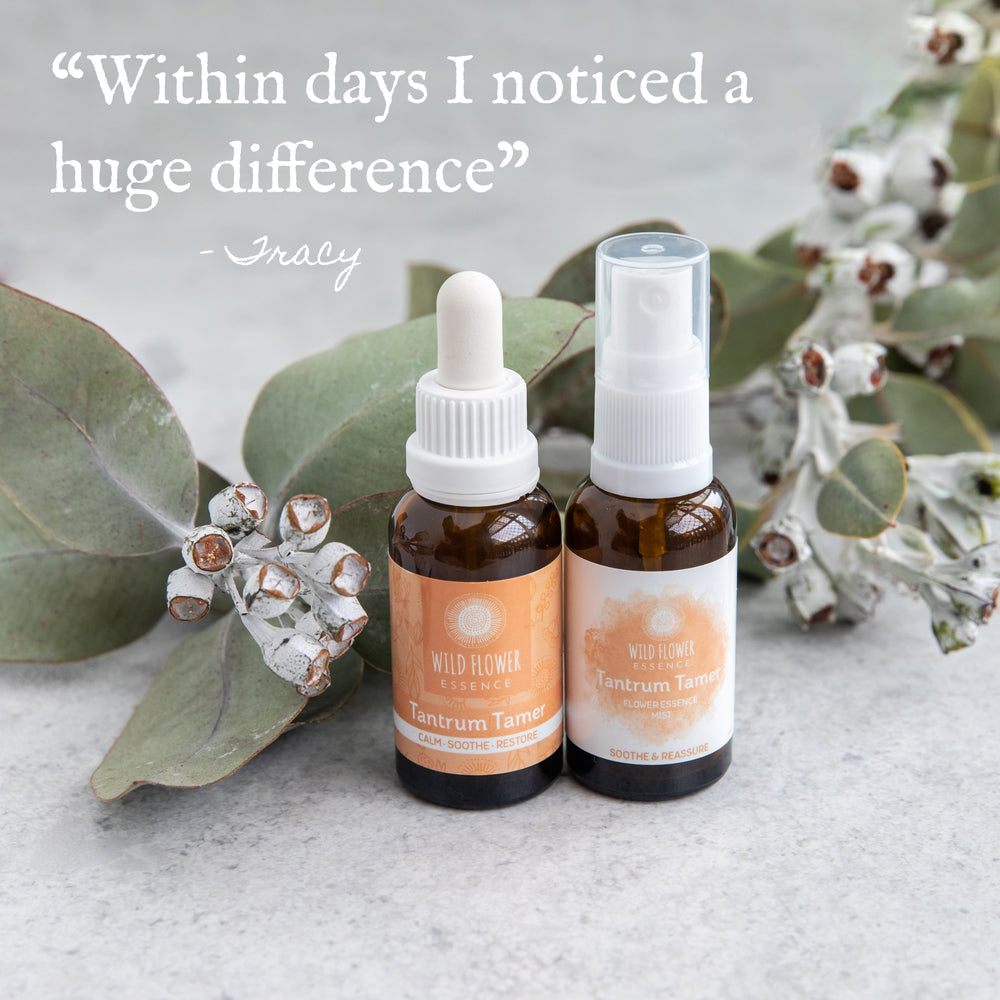 Tantrum Tamer Duo Pack blend and mist