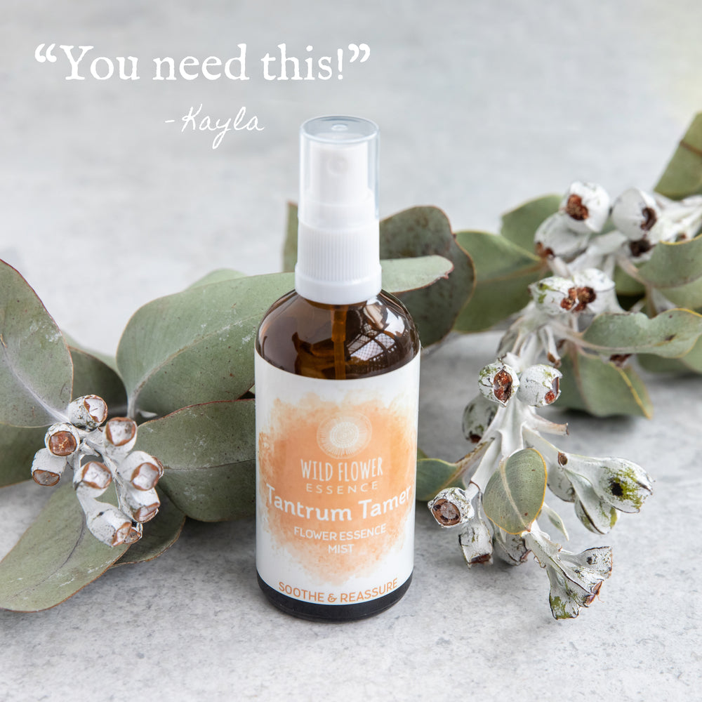Naughty Naturopath Mum - Tantrum Tamer Mist