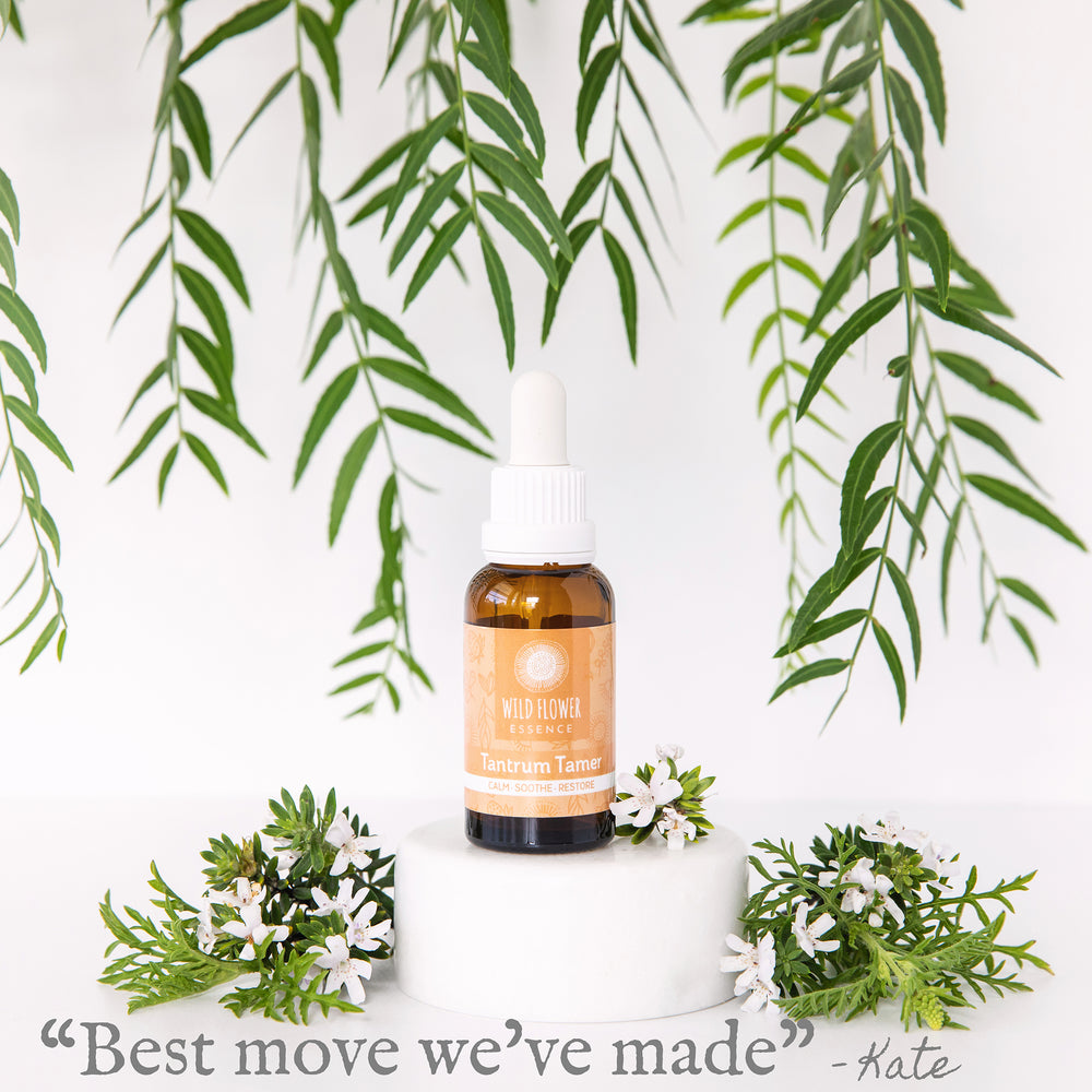 Naughty Naturopath Mum - Tantrum Tamer Wild Flower Essence