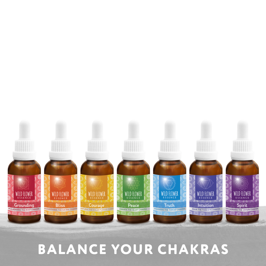 Naughty Naturopath Mum - Complete Chakra Balance Pack