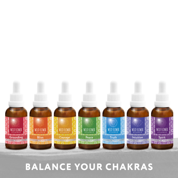 Naughty Naturopath Mum - Complete Chakra Balance Pack