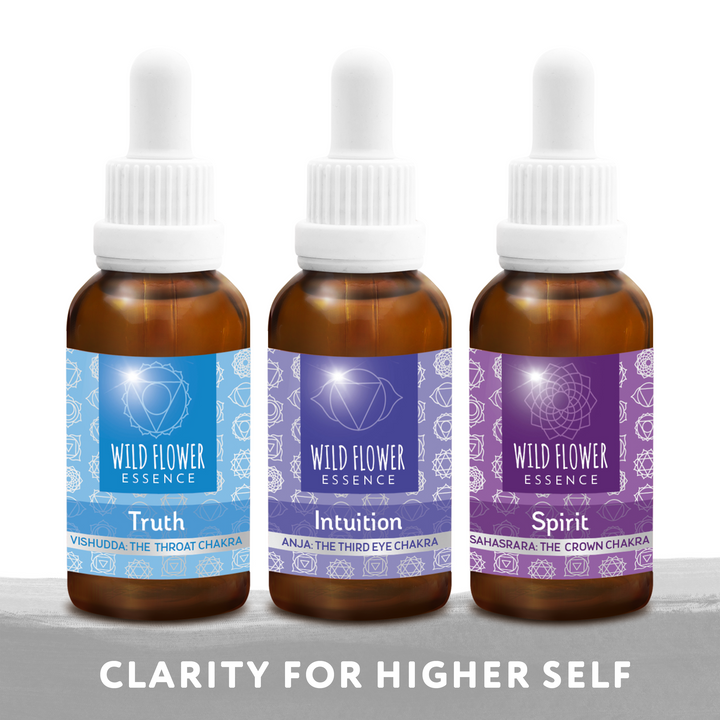 Naughty Naturopath Mum - Enlightenment Chakra Blend Pack