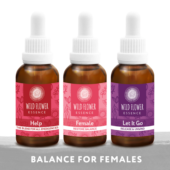 Naughty Naturopath Mum - Female Support Blend Pack