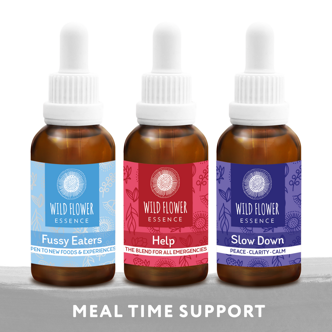 Naughty Naturopath Mum - Fussy Eater Blend Pack