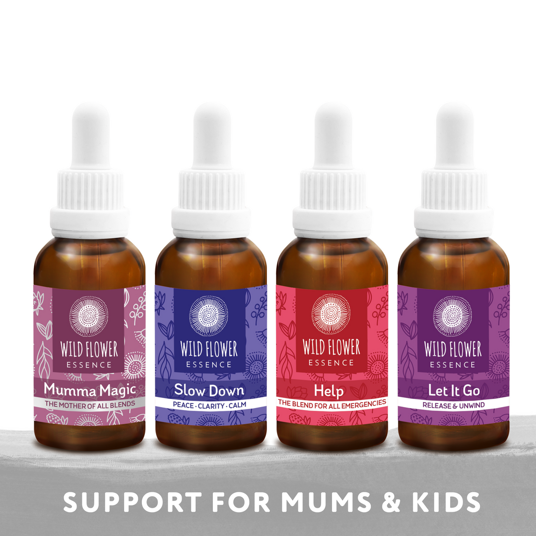 Naughty Naturopath Mum - Mum's Toolkit Pack
