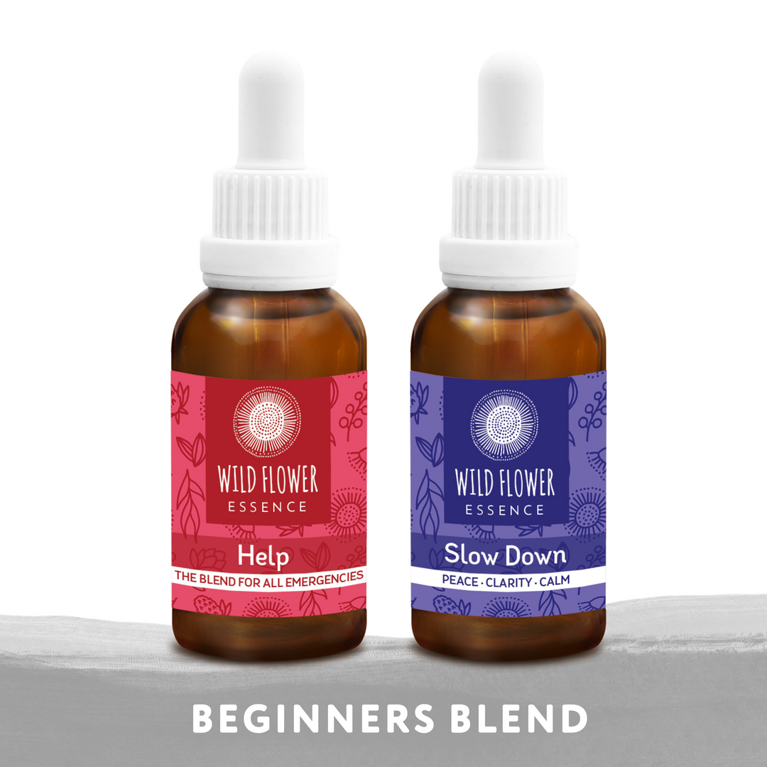 Naughty Naturopath Mum - Beginners Blend Pack