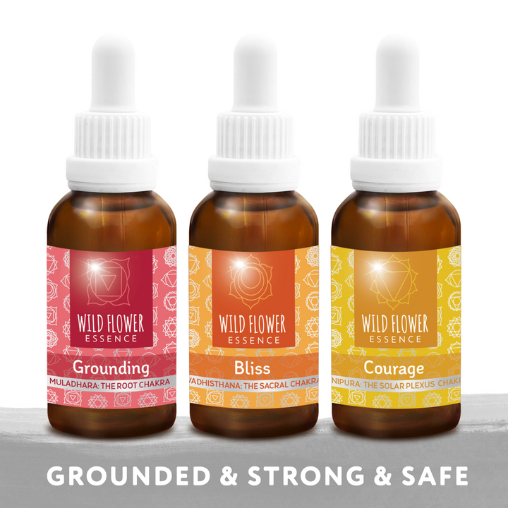 Naughty Naturopath Mum - Strength Chakra Pack