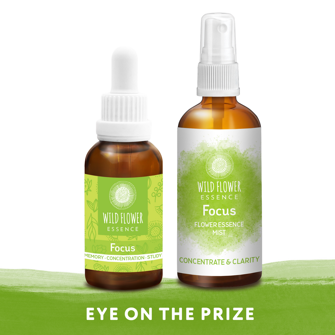 Focus Duo Pack blend and mist