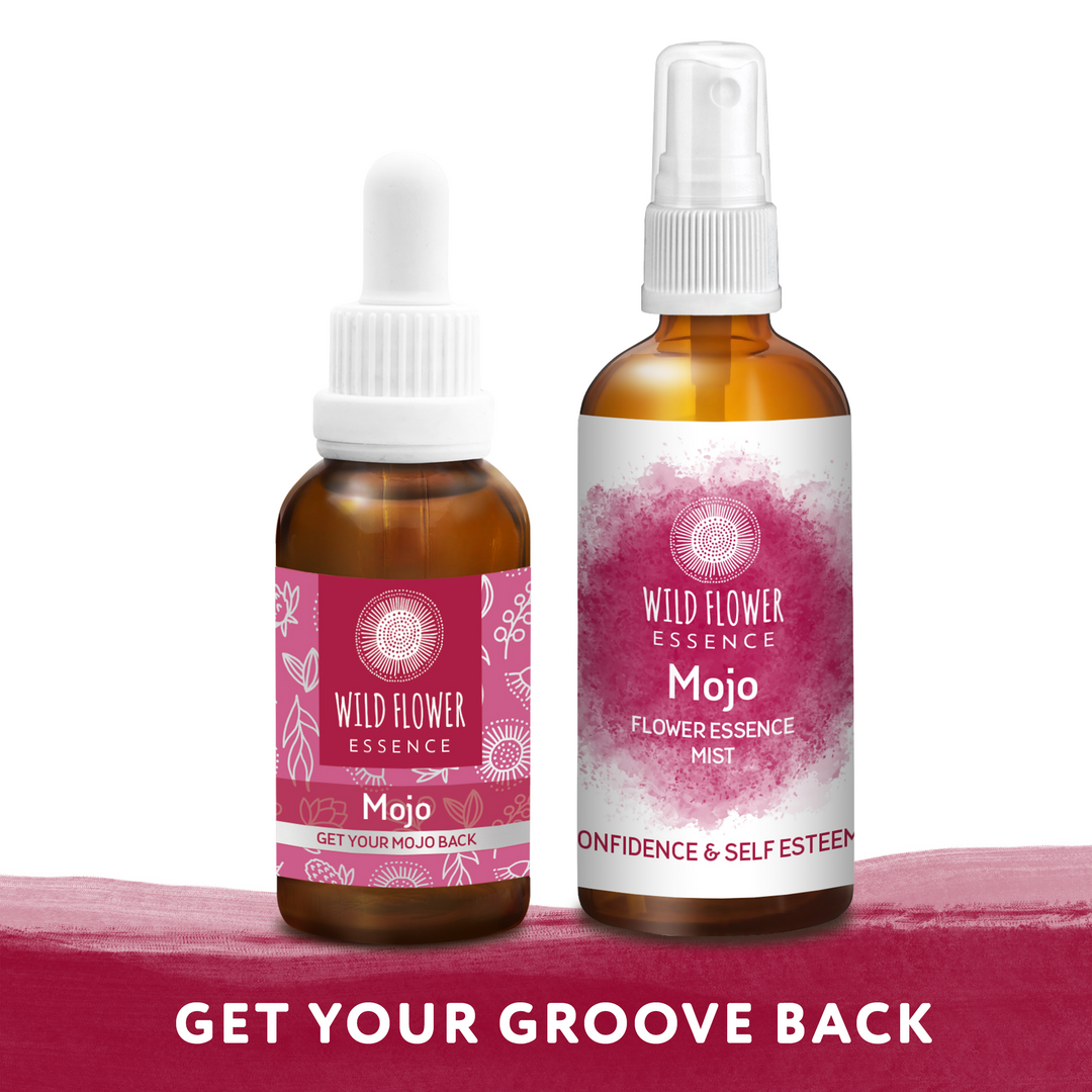 Mojo Duo Pack blend and mist
